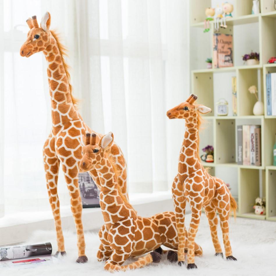 2c19ef551326875cf475363215759d6a_4ec7a583-1659-4e16-a6df-2e576f53bce2.jpg - Peluche carlin