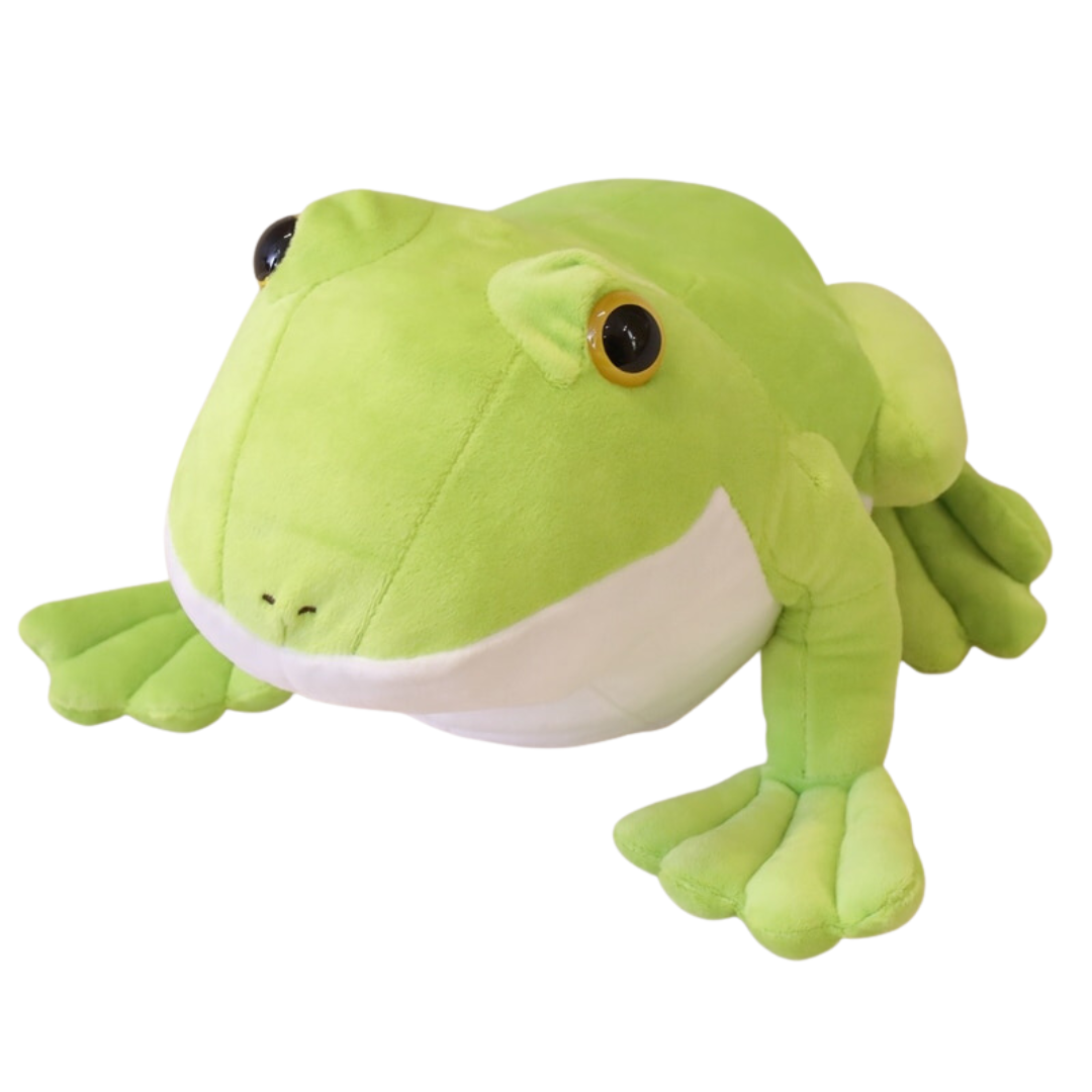 364fde98-55ae-4d77-a743-cacca62f1a53.png - Peluche carlin