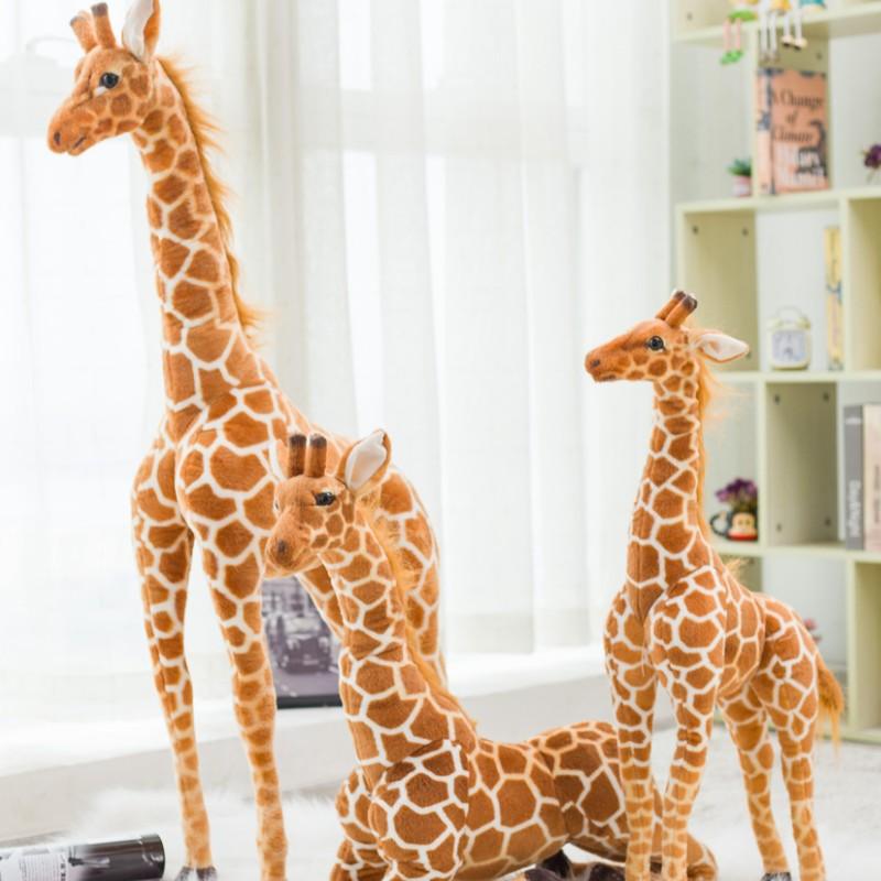 66ed0eaa30e2075f82ffe04bf21d1be8_9c9ff522-f400-447a-b572-ebc9e39aeaf9.jpg - Peluche carlin