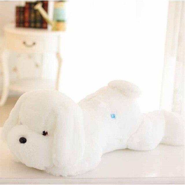 9830aabb45d21c5996c28b49e6aae6d5_09e39390-7c39-408e-9e14-100bea976f39.jpg - Peluche carlin