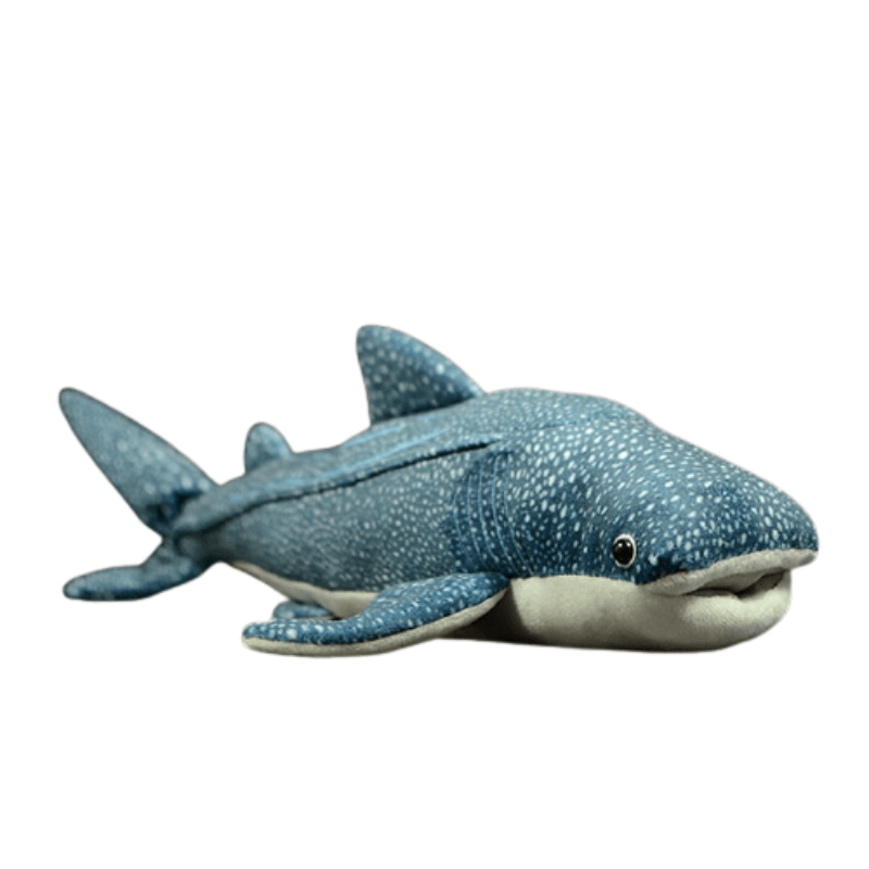 doudou-requin-baleine.png - Peluche carlin