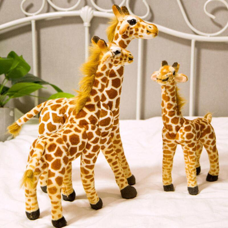 e0fe93e6-8226-479f-8d75-78ed46590ee1.jpg - Peluche carlin
