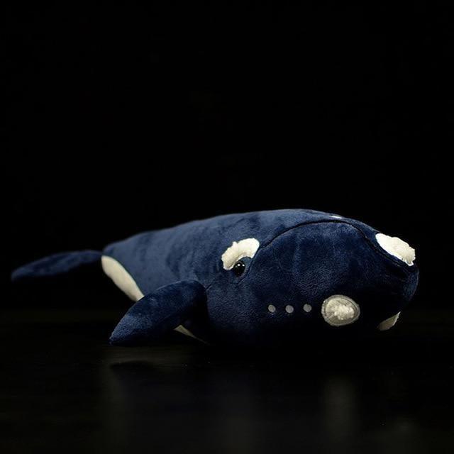 peluche-baleine-franche-de-l-atlantique-nord___7.jpg - Peluche carlin