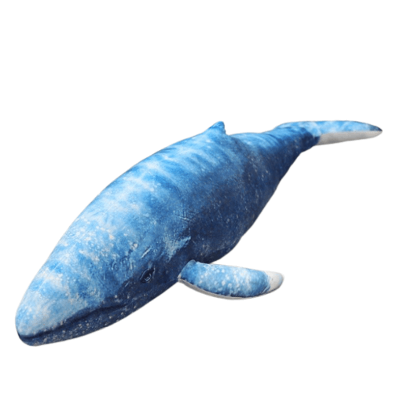peluche-poisson-grande-taille.png - Peluche carlin