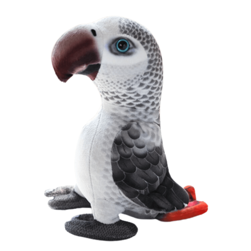 perroquet-plush.png - Peluche carlin
