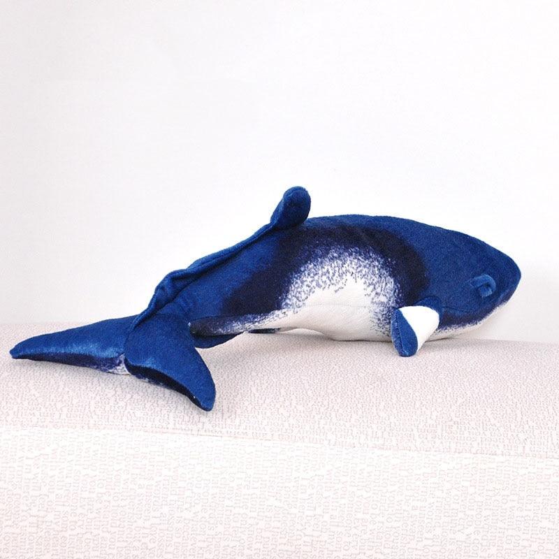 product-image-1067550297_3802edbe-790f-4b7f-8a17-a49a2b3921e6.jpg - Peluche carlin