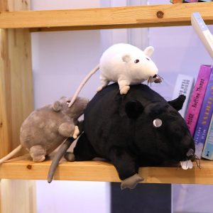 Jouets en peluche  pour Rat et Souris