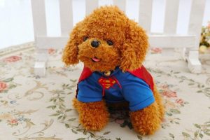 Peluche de chien super-héros
