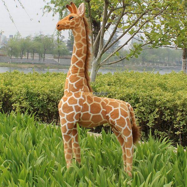 product-image-800431805_535bf40a-d0fb-4303-84eb-ab928c022650.jpg - Peluche carlin